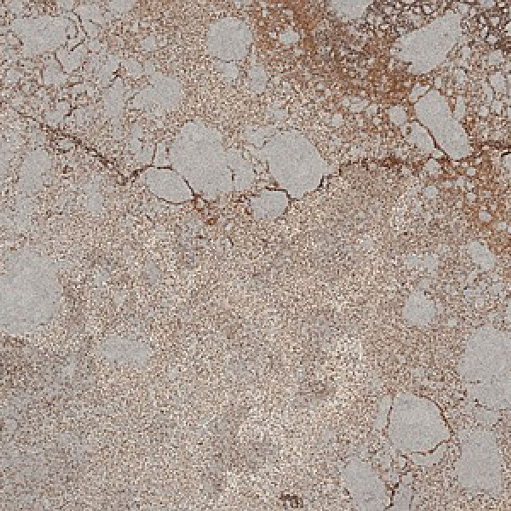 Engineered Stone - Caesarstone Excava gallery detail image