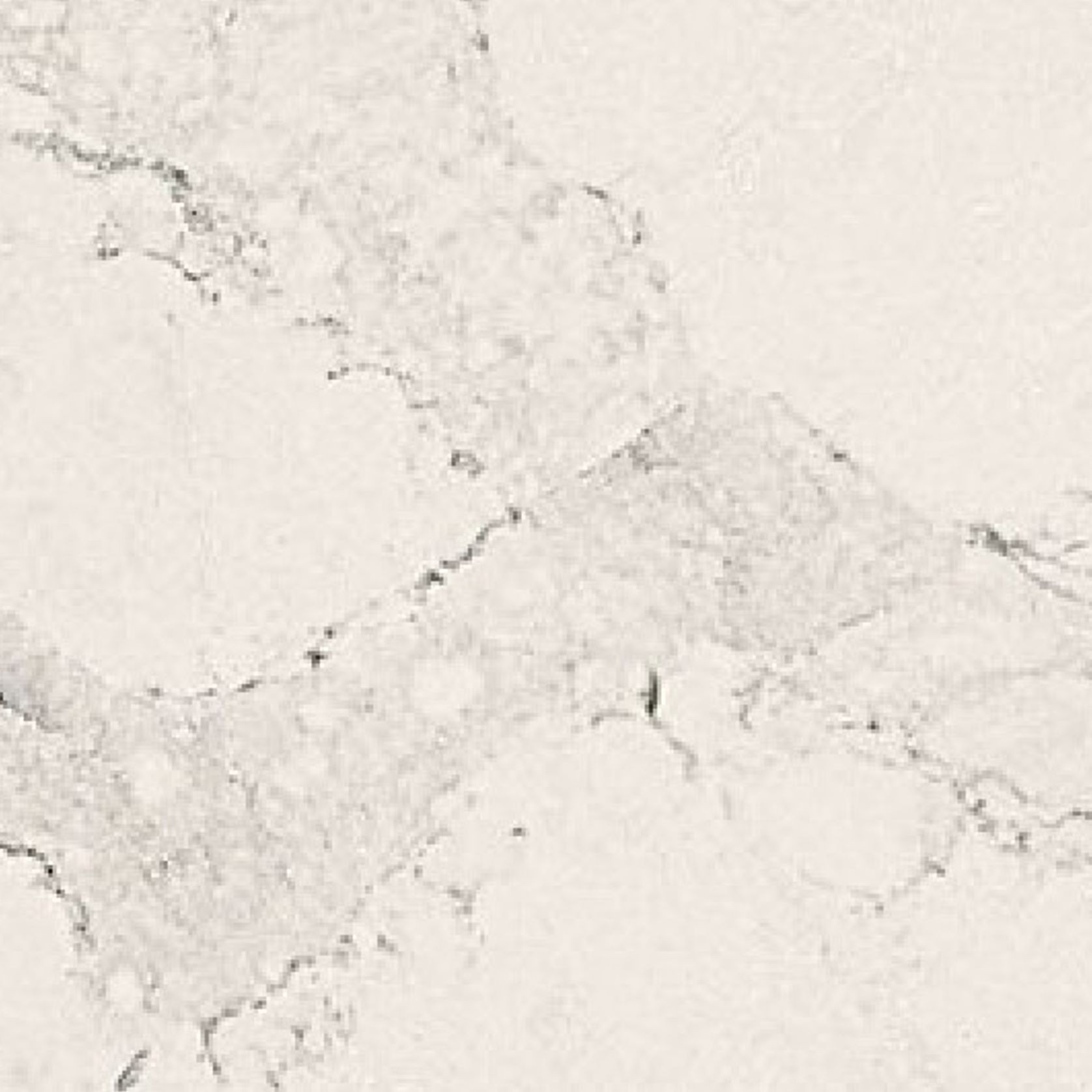 Engineered Stone - Caesarstone Calacatta Nuvo gallery detail image