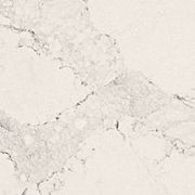 Engineered Stone - Caesarstone Calacatta Nuvo gallery detail image