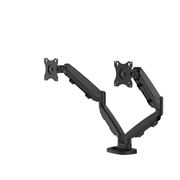 Eppa™ Dual Monitor Arm gallery detail image