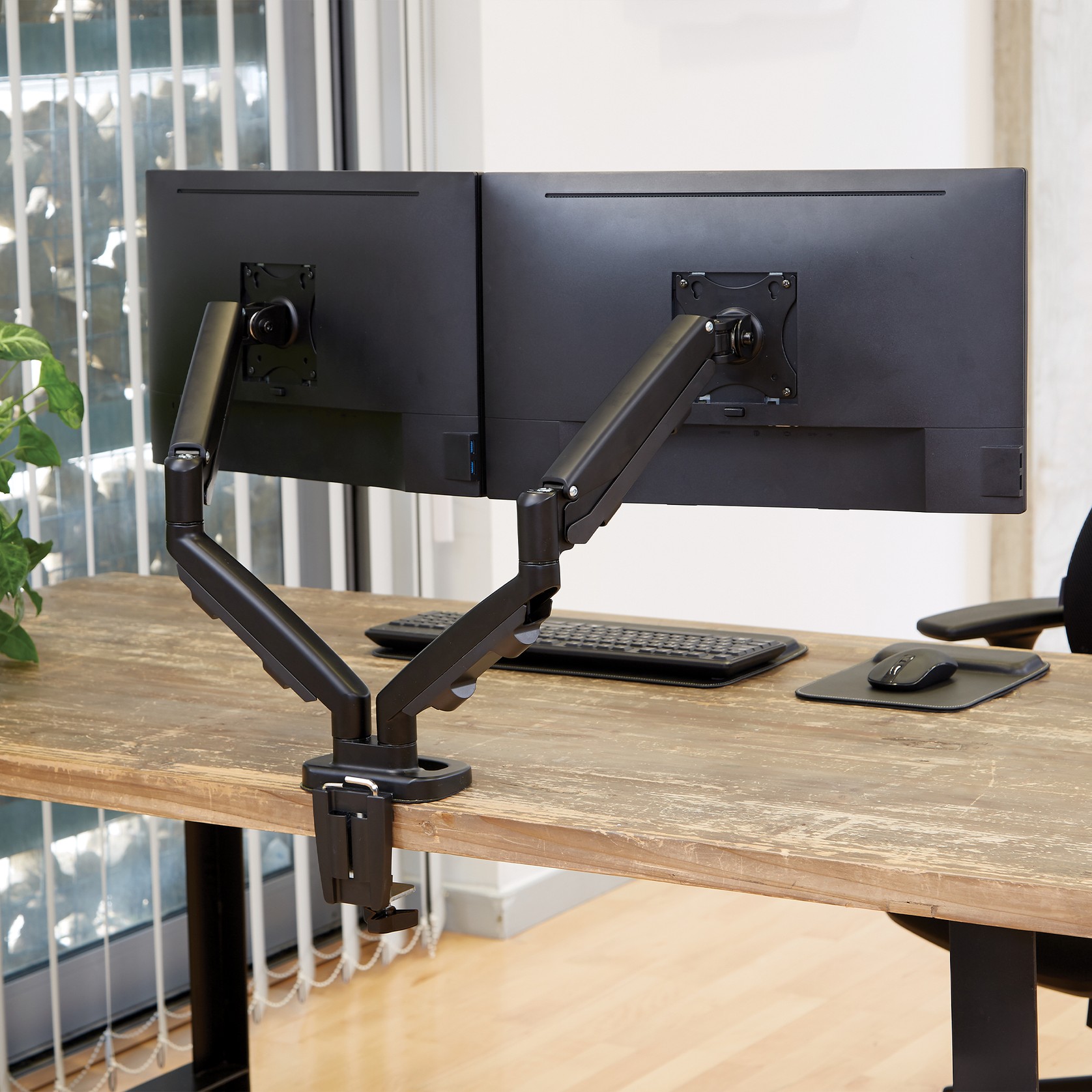Eppa™ Dual Monitor Arm gallery detail image