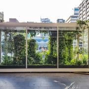 Short-Term Plant Hire for Events | GreenAir gallery detail image