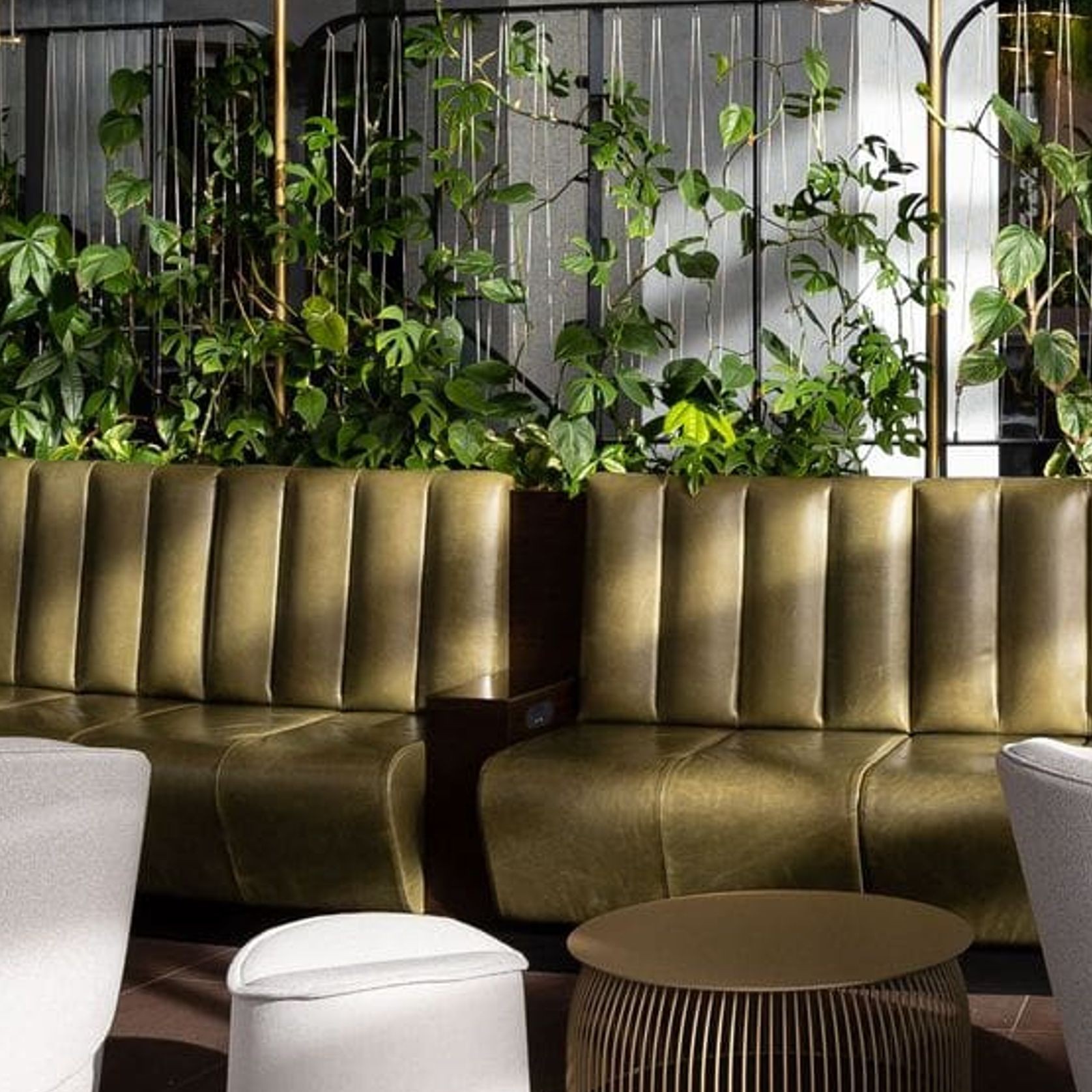 Short-Term Plant Hire for Events | GreenAir gallery detail image