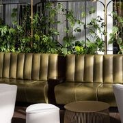 Short-Term Plant Hire for Events | GreenAir gallery detail image