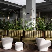 Short-Term Plant Hire for Events | GreenAir gallery detail image