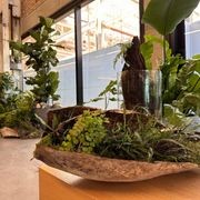 Short-Term Plant Hire for Events | GreenAir gallery detail image