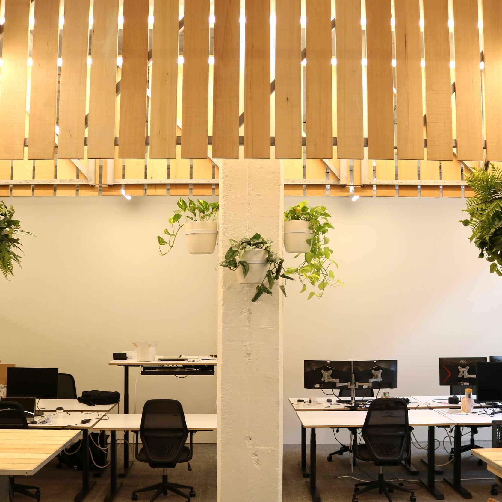 Plant Brackets | Hire Plants gallery detail image