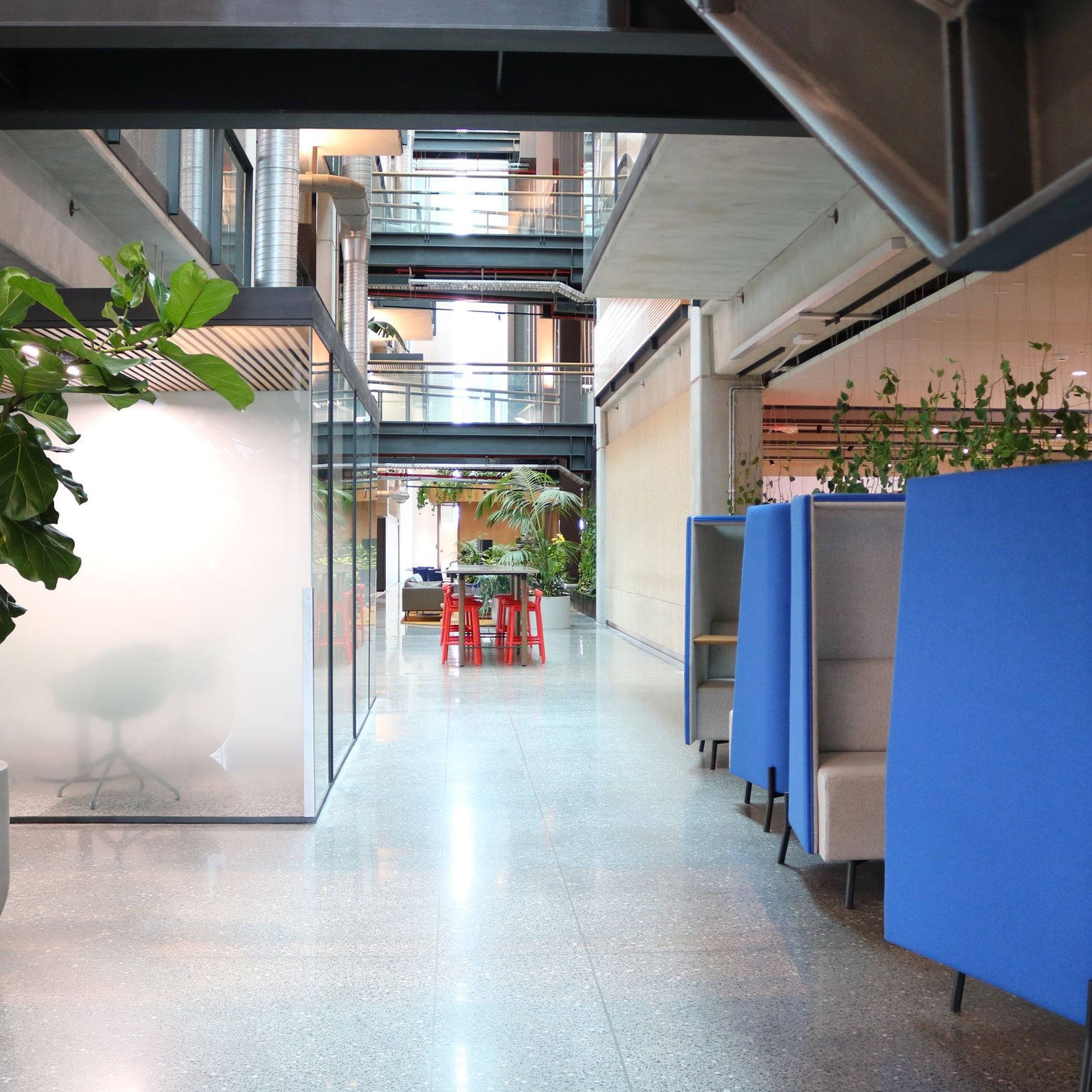 Indoor Plant Hire | Hire Plants gallery detail image