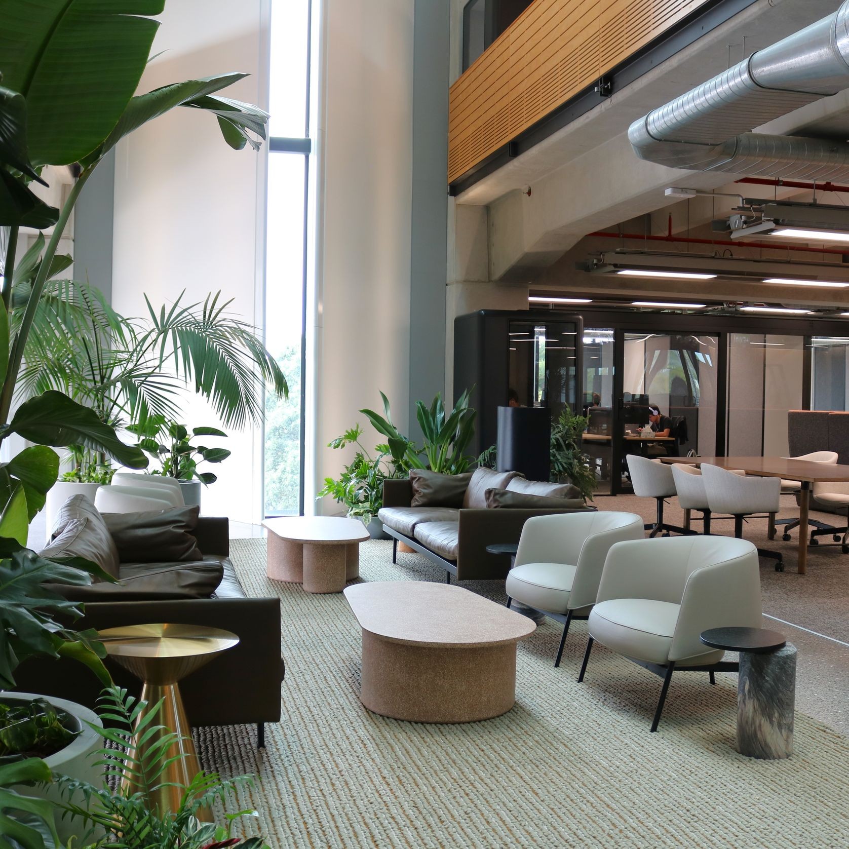 Indoor Plant Hire | Hire Plants gallery detail image