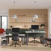 Nevi Sit-to-Stand gallery detail image