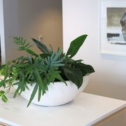Garden Bowls | Hire Plants gallery detail image