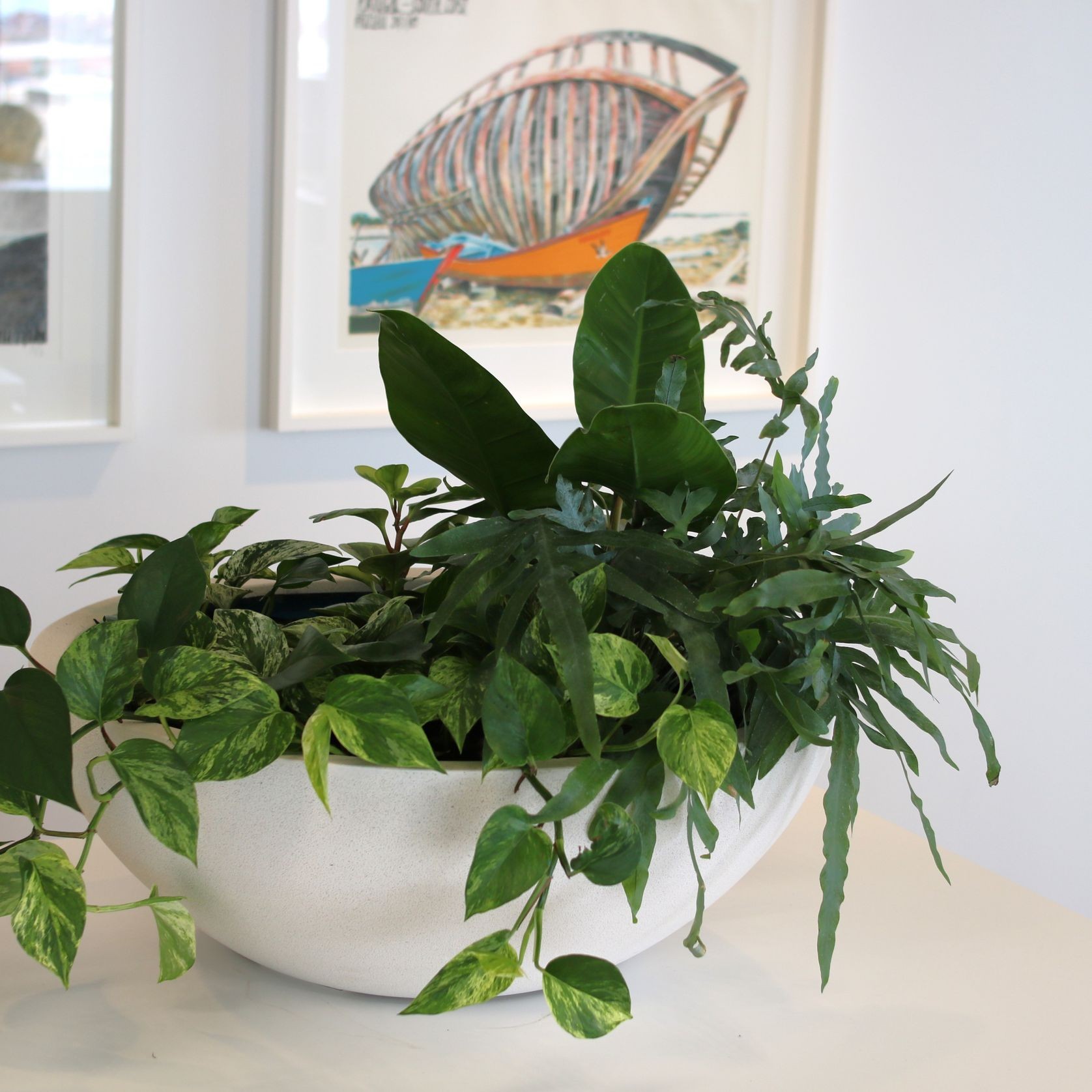 Garden Bowls | Hire Plants gallery detail image
