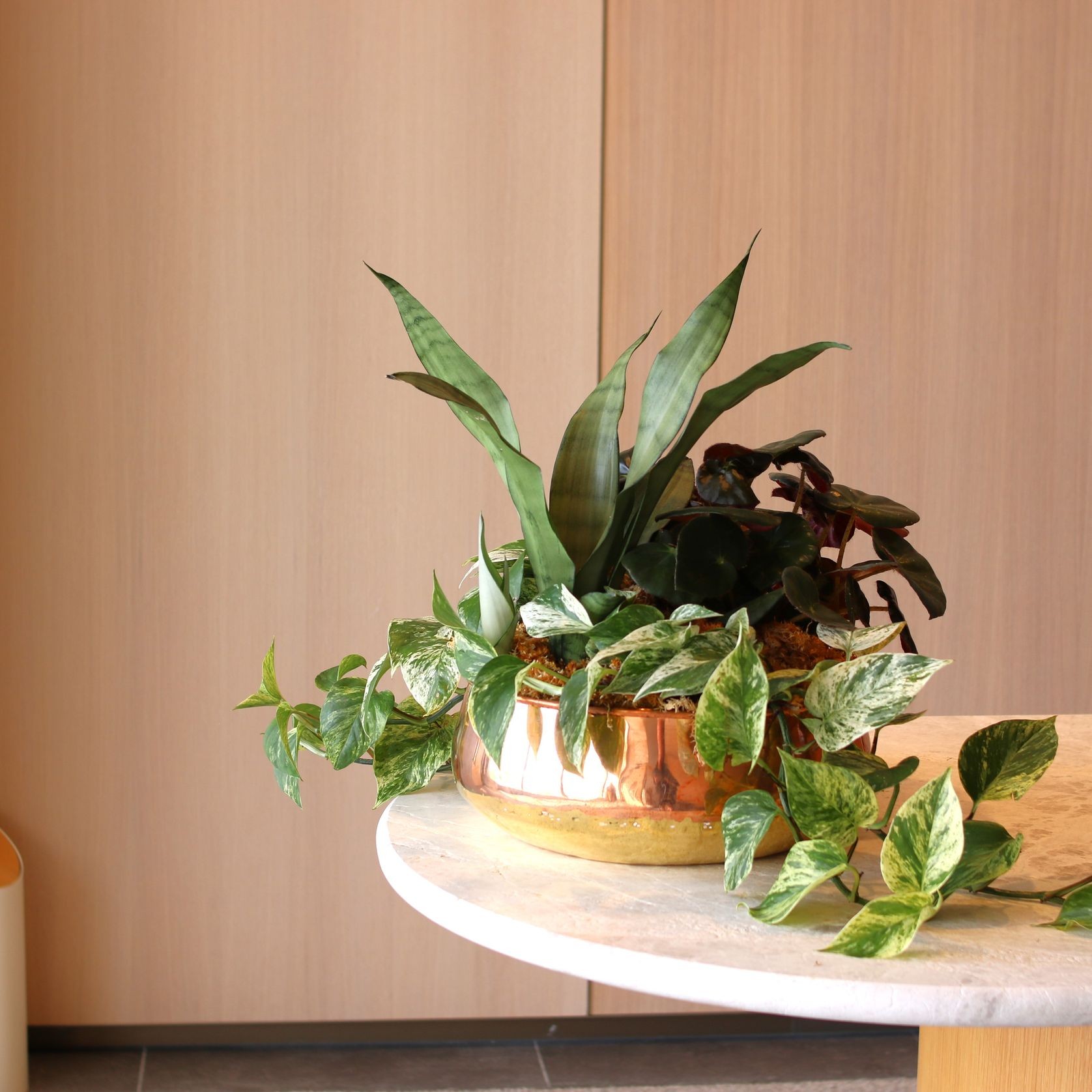 Garden Bowls | Hire Plants gallery detail image