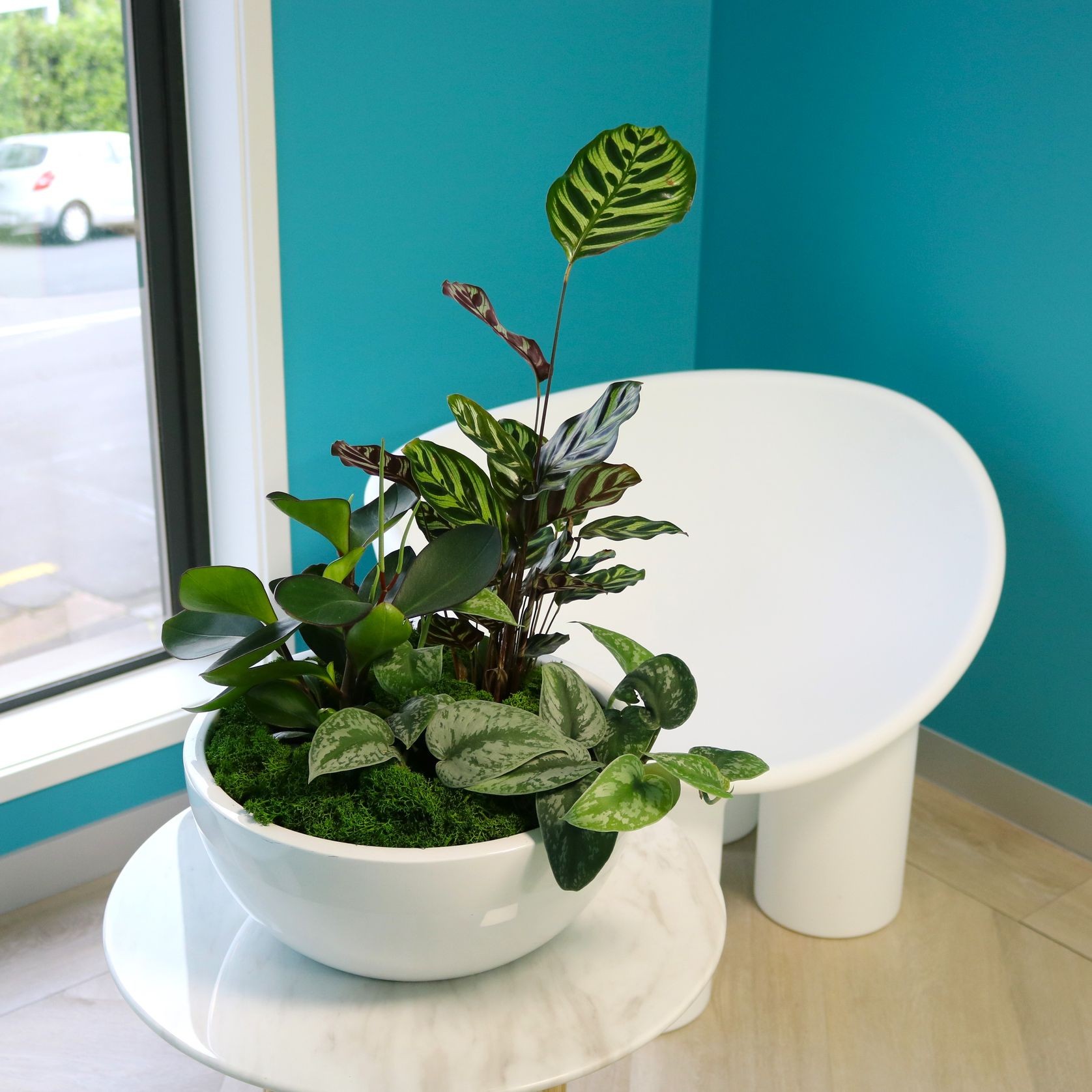 Mixed Garden Bowls | Hire Plants gallery detail image