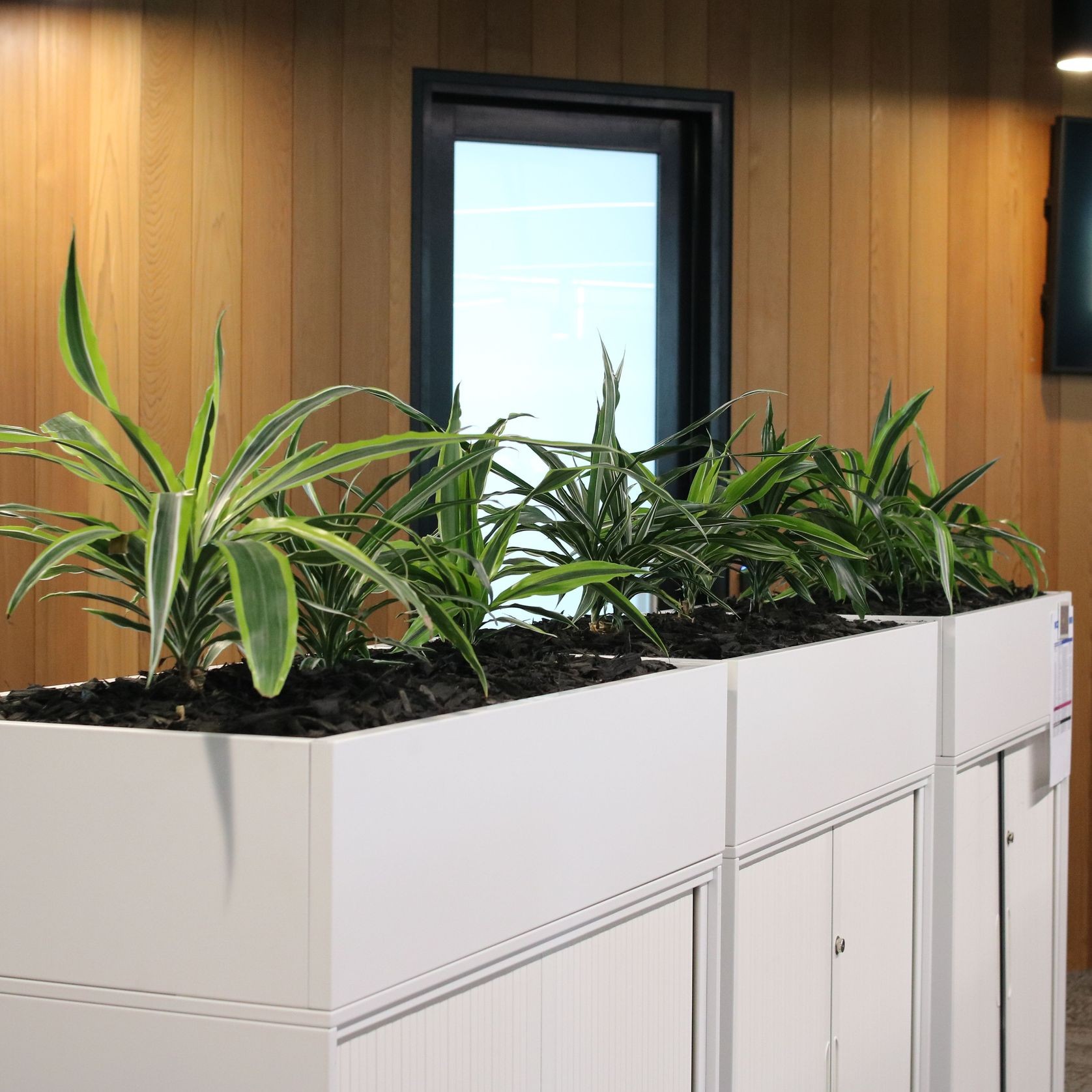 Screening Solutions | Hire Plants gallery detail image