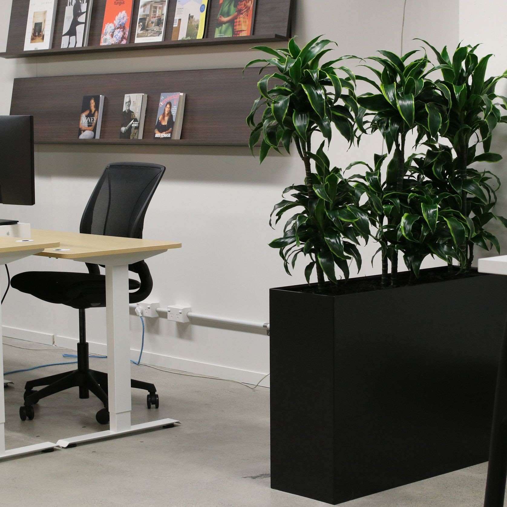 Screening Solutions | Hire Plants gallery detail image