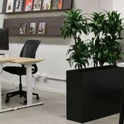 Screening Solutions | Hire Plants gallery detail image