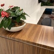 Garden Bowls | Hire Plants gallery detail image