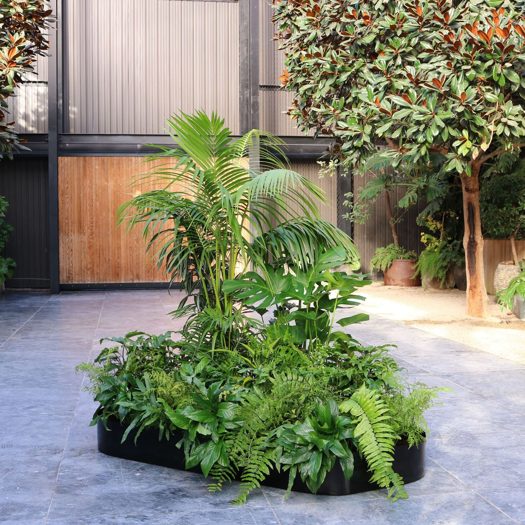 Garden Grove | Hire Plants gallery detail image