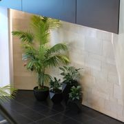Indoor Plant Hire | Hire Plants gallery detail image