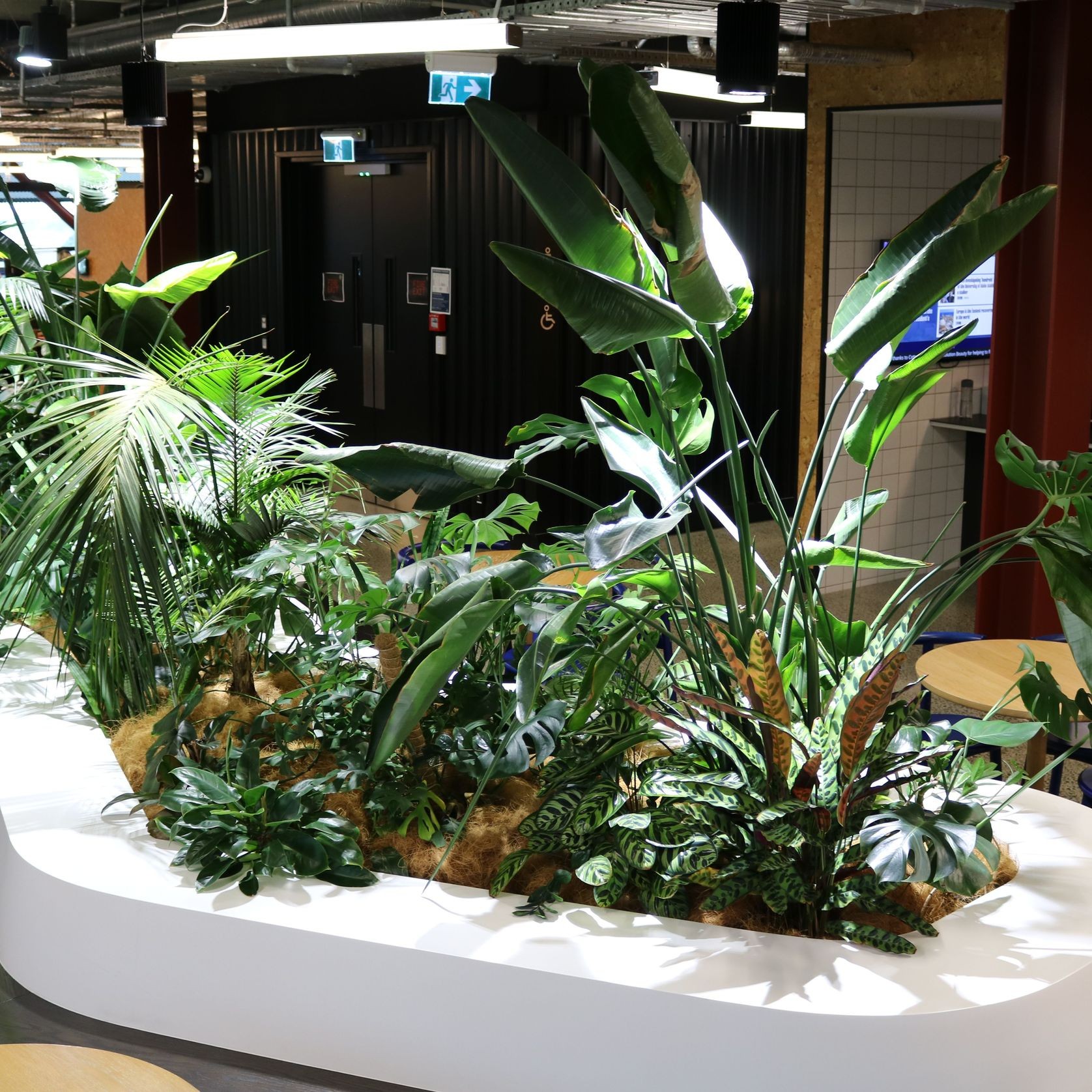 In-Built Gardens | Hire Plants gallery detail image