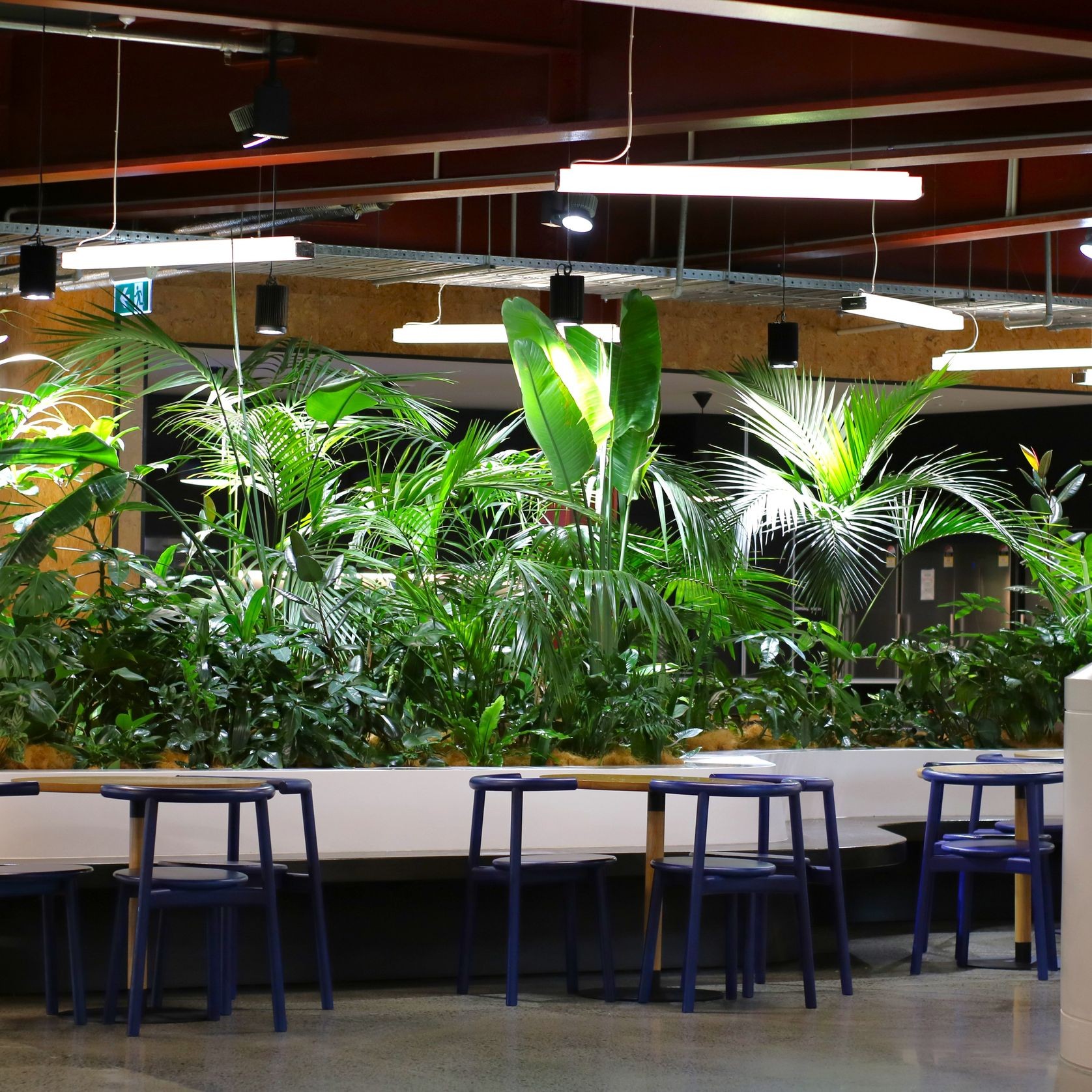 In-Built Gardens | Hire Plants gallery detail image