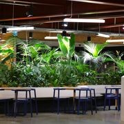In-Built Gardens | Hire Plants gallery detail image