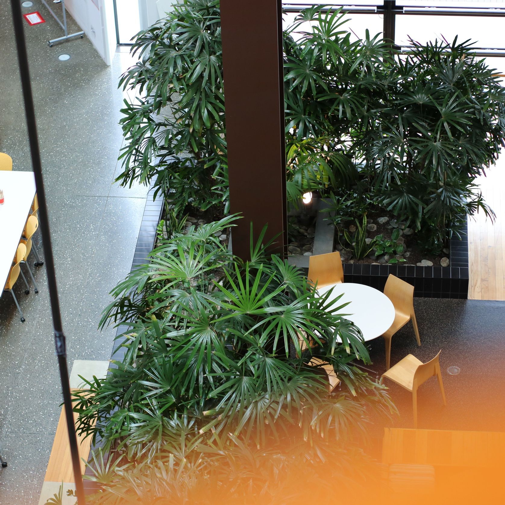 In-Built Gardens | Hire Plants gallery detail image