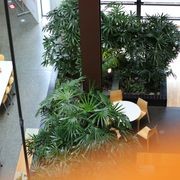 In-Built Gardens | Hire Plants gallery detail image
