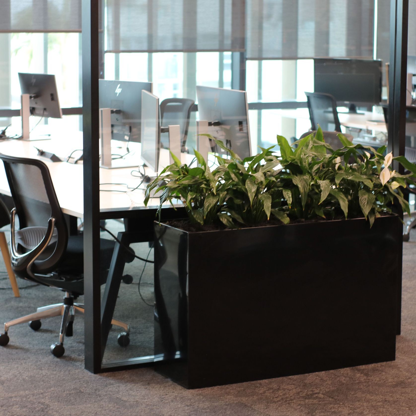Screening Solutions | Hire Plants gallery detail image