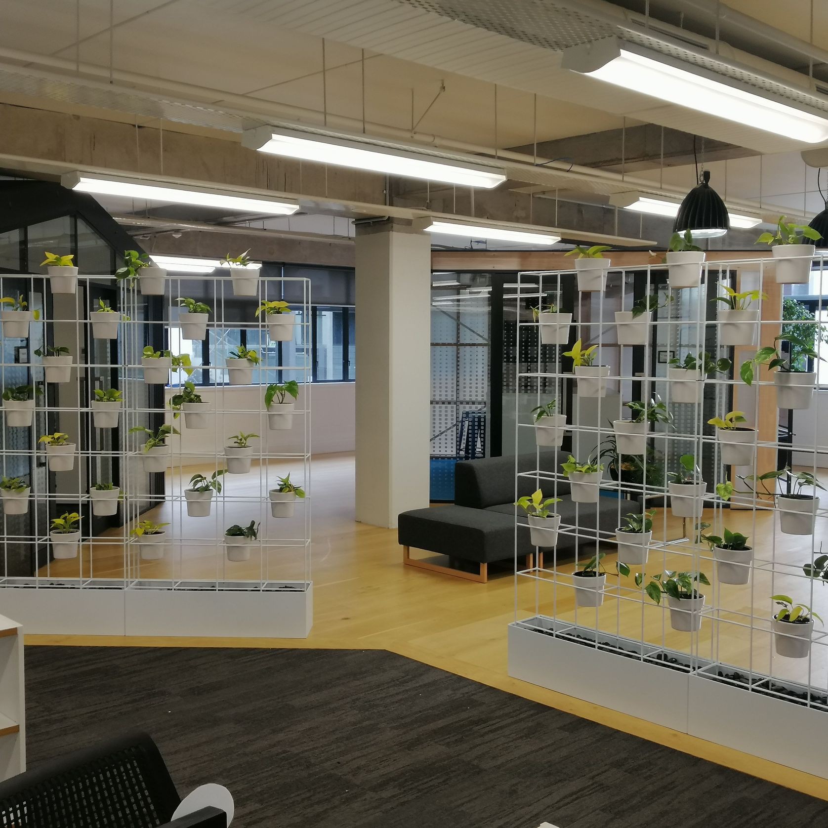 Screening Solutions | Hire Plants gallery detail image