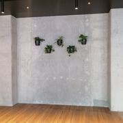 Plant Brackets | Hire Plants gallery detail image