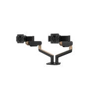 Rising™ Dual Monitor Arm gallery detail image