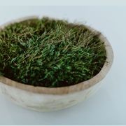 Preserved Moss Table Decor gallery detail image
