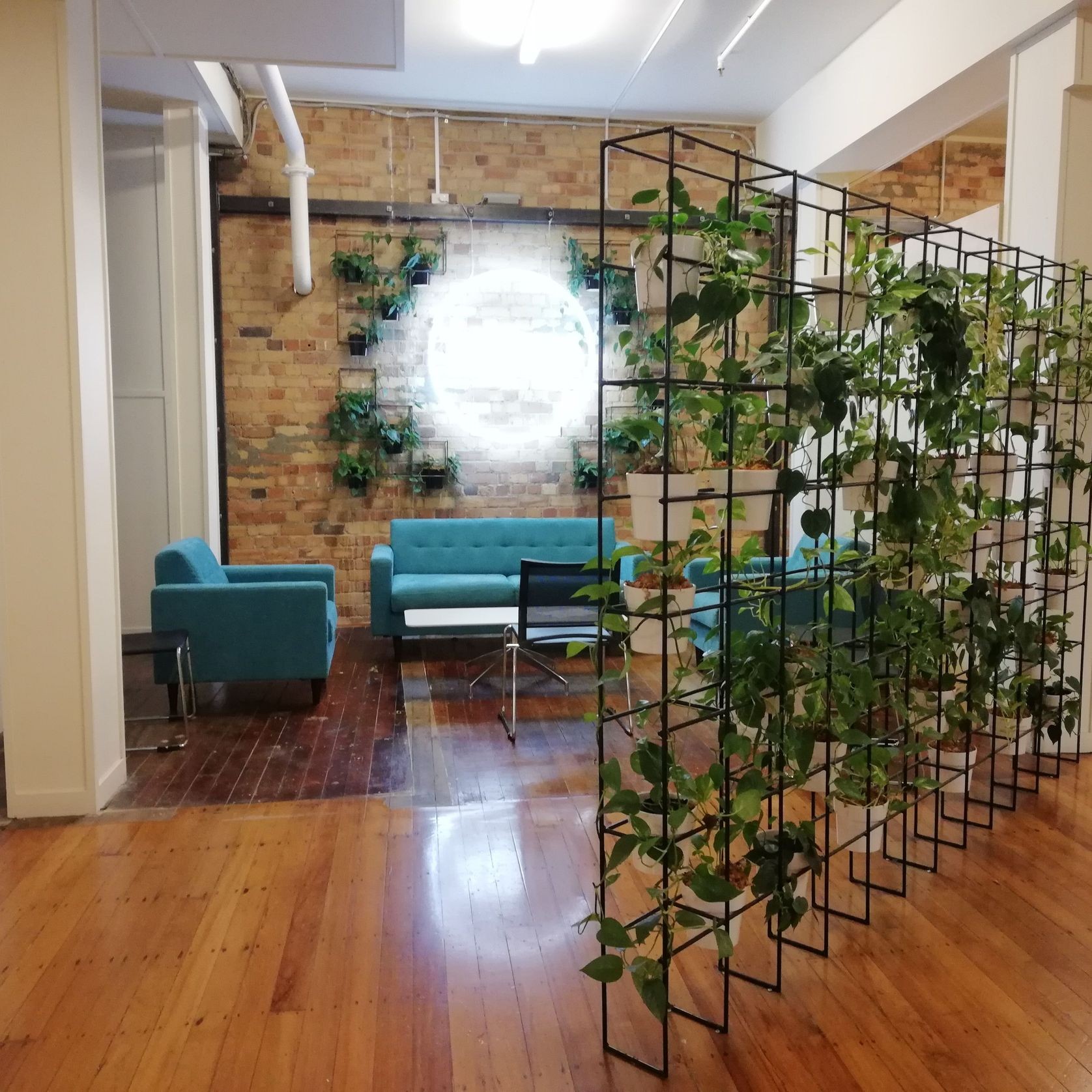 Plant Grid Frames | Hire Plants | ArchiPro NZ
