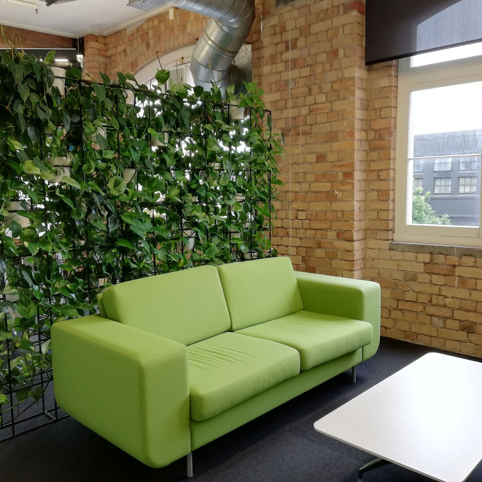 Screening Solutions | Hire Plants gallery detail image