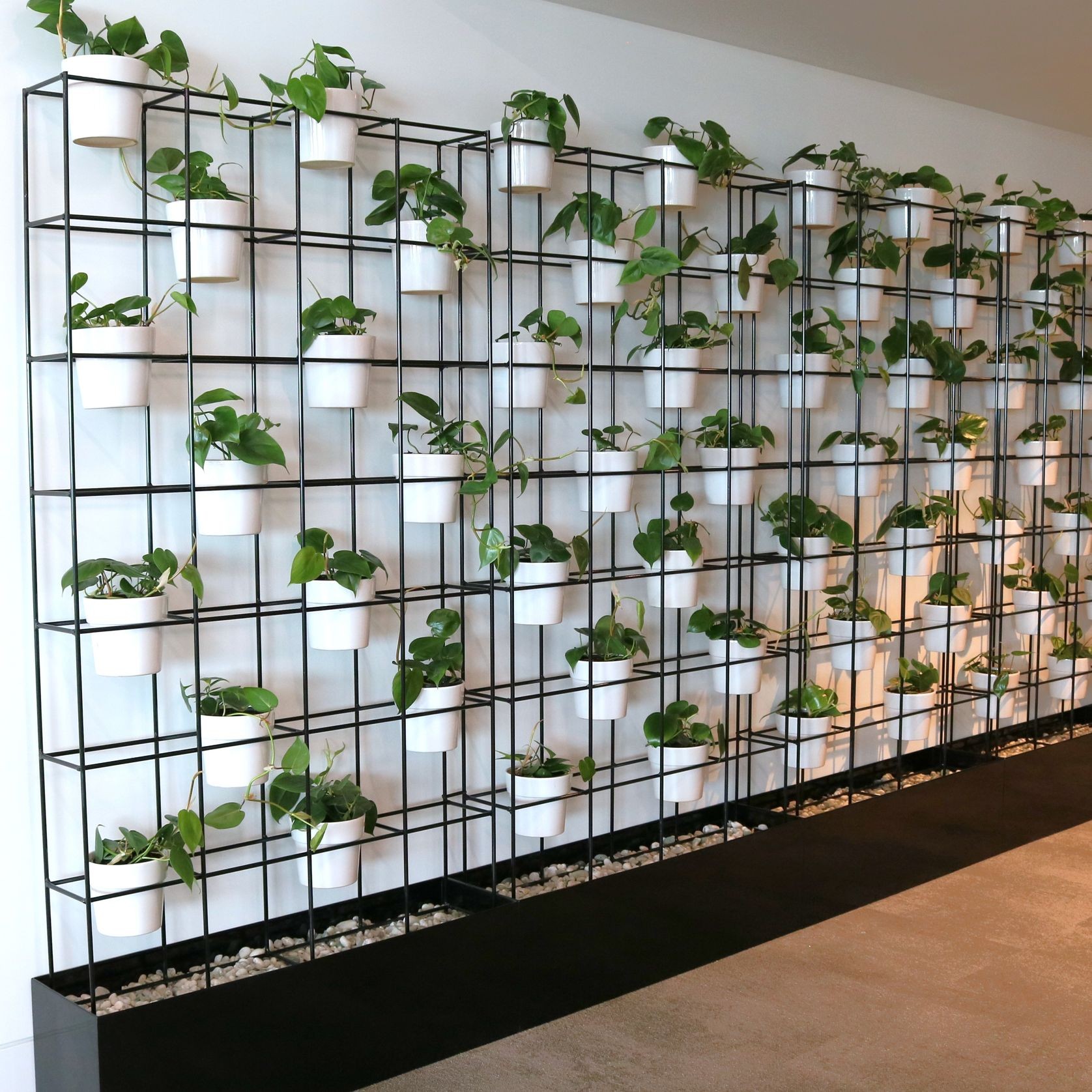Screening Solutions | Hire Plants gallery detail image