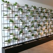 Screening Solutions | Hire Plants gallery detail image