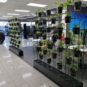 Screening Solutions | Hire Plants gallery detail image