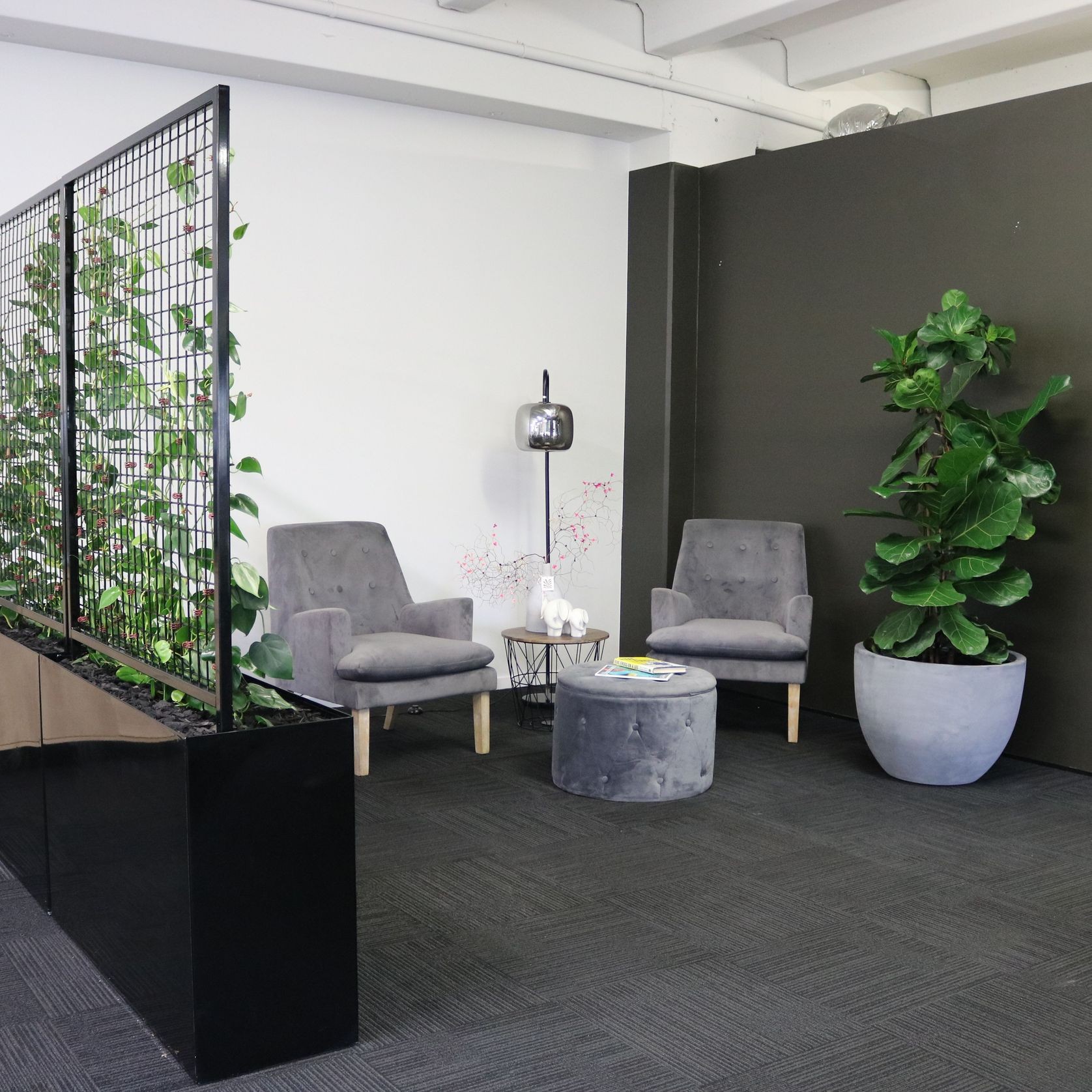 Screening Solutions | Hire Plants gallery detail image
