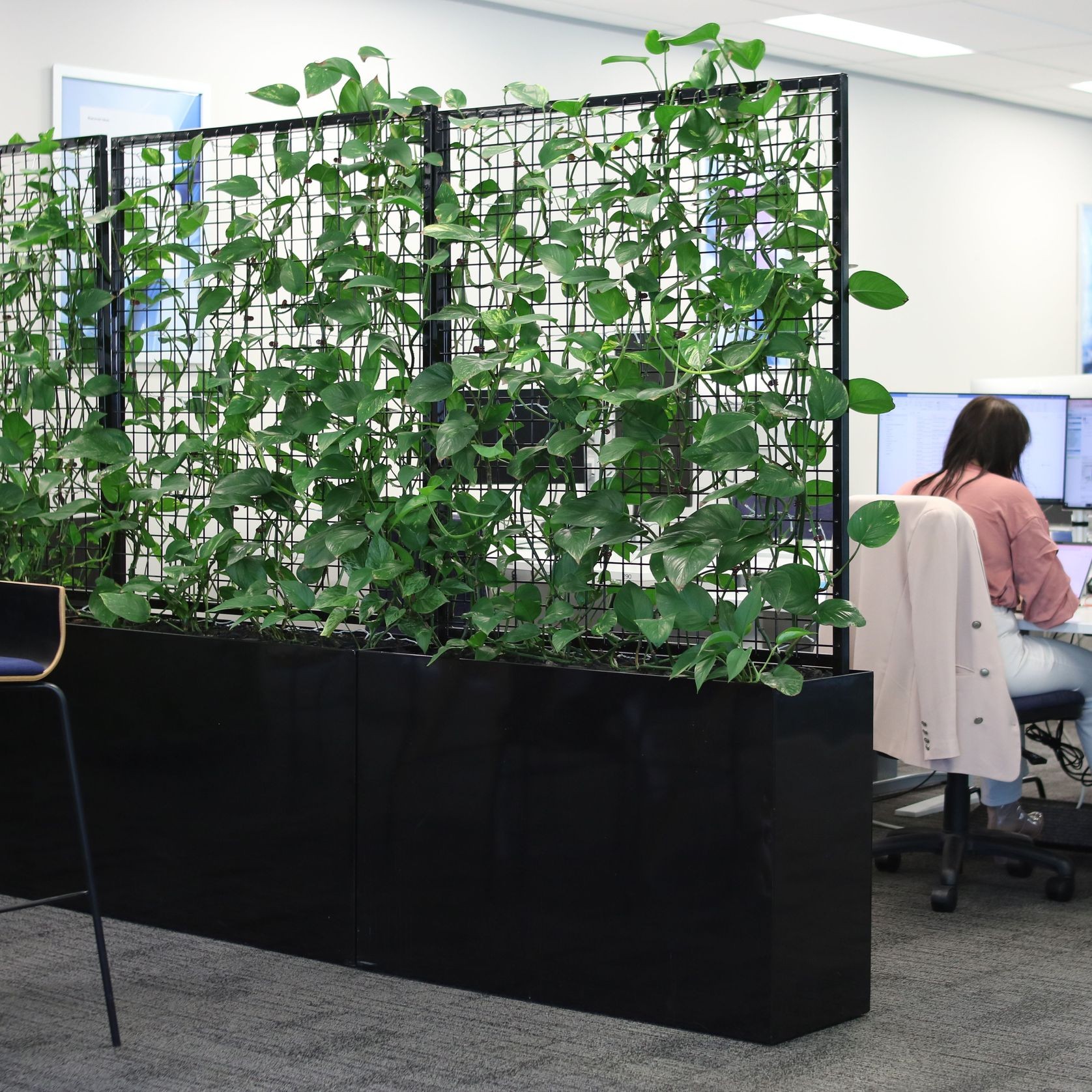 Screening Solutions | Hire Plants gallery detail image