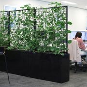 Screening Solutions | Hire Plants gallery detail image