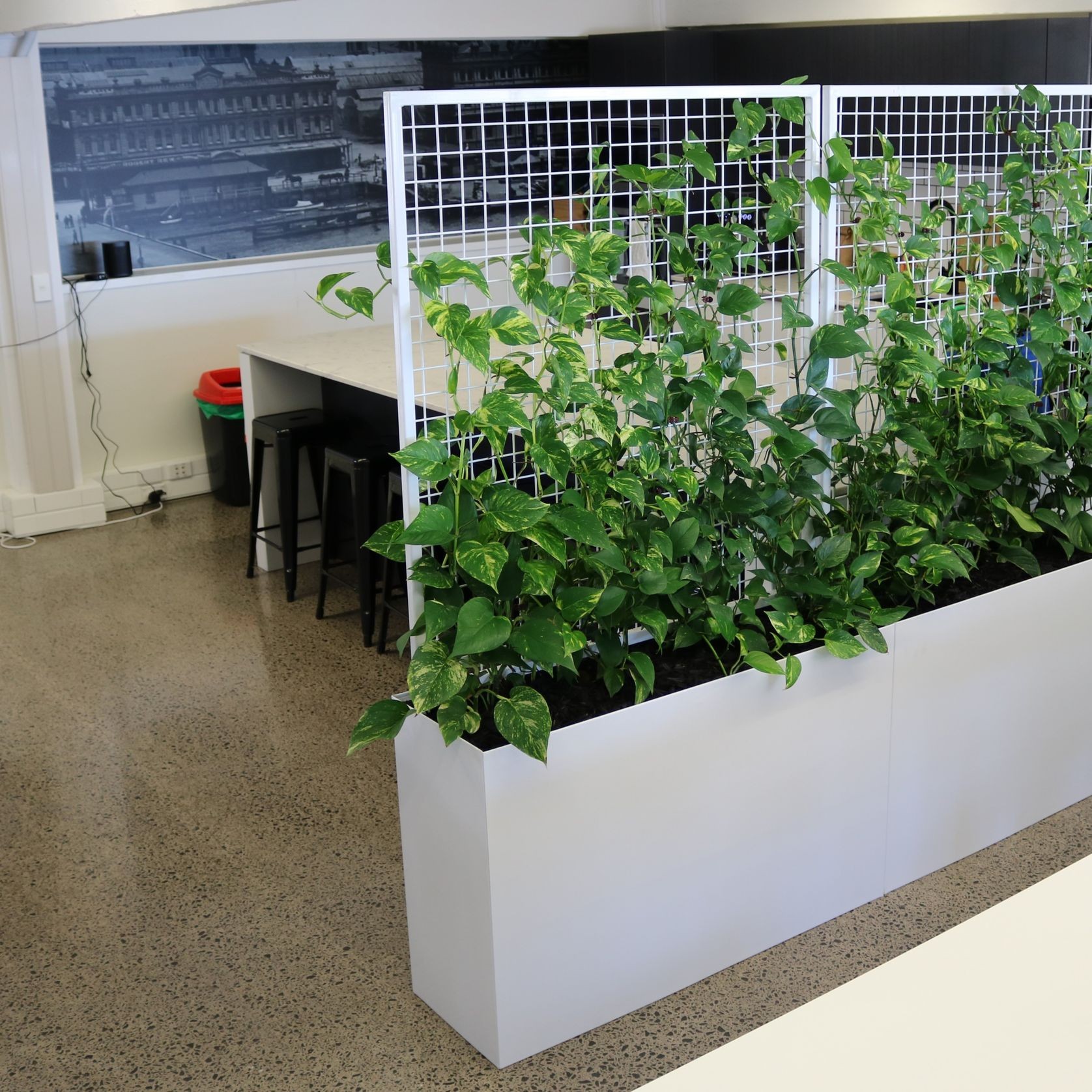 Screening Solutions | Hire Plants gallery detail image