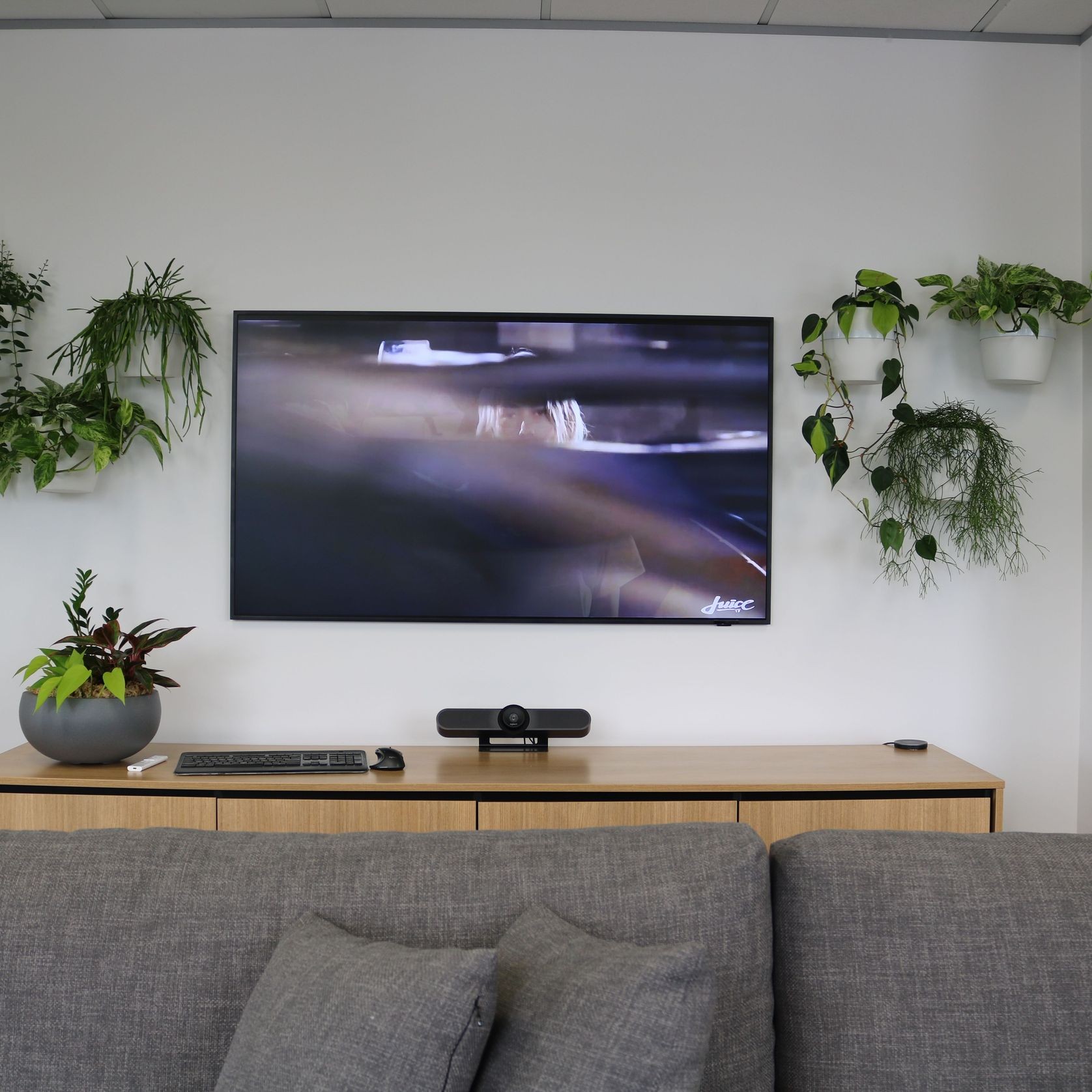 Plant Brackets | Hire Plants gallery detail image