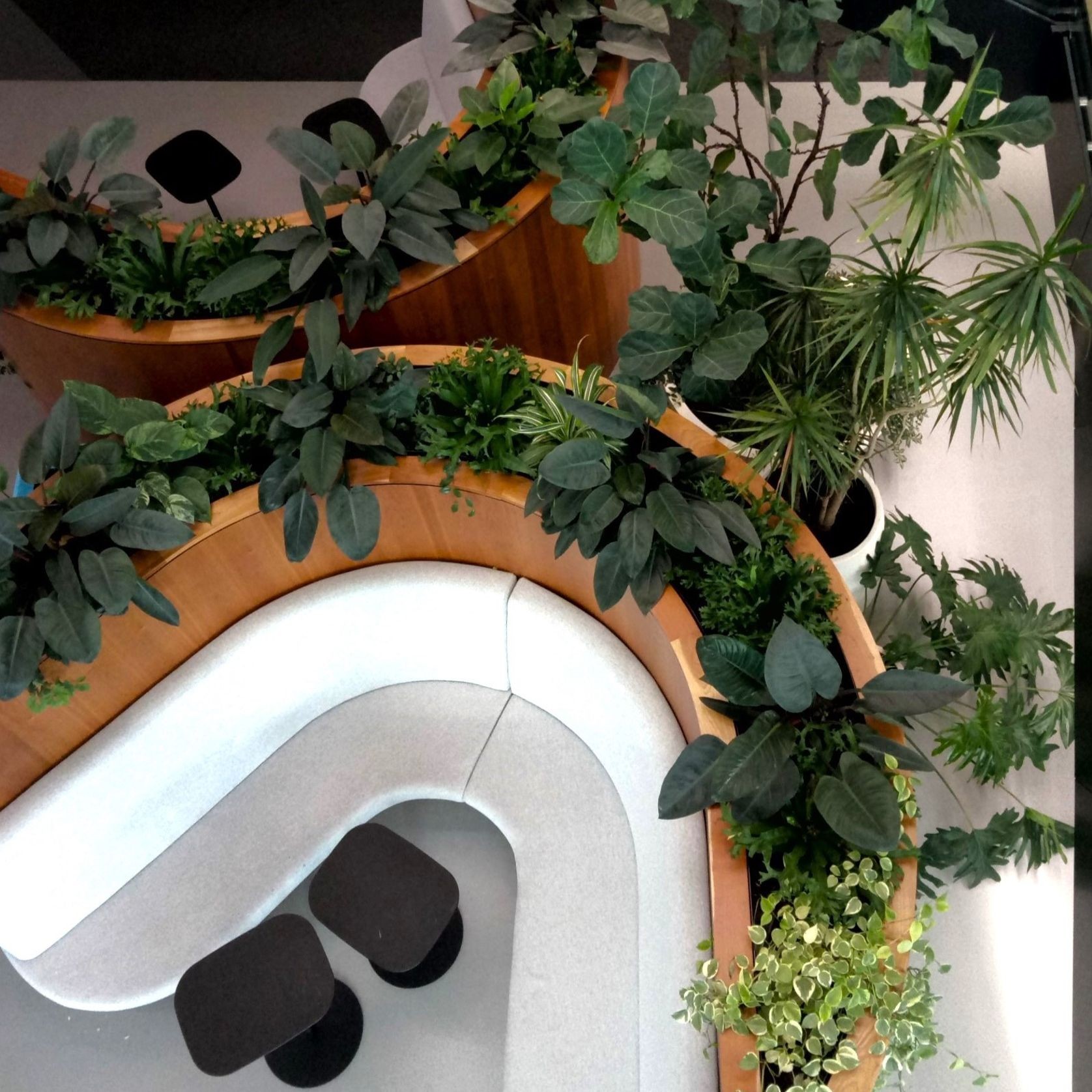 In-Built Gardens | Hire Plants gallery detail image