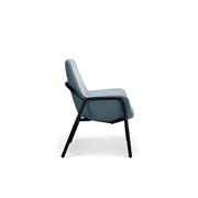 Mobili Bariatric 5 gallery detail image