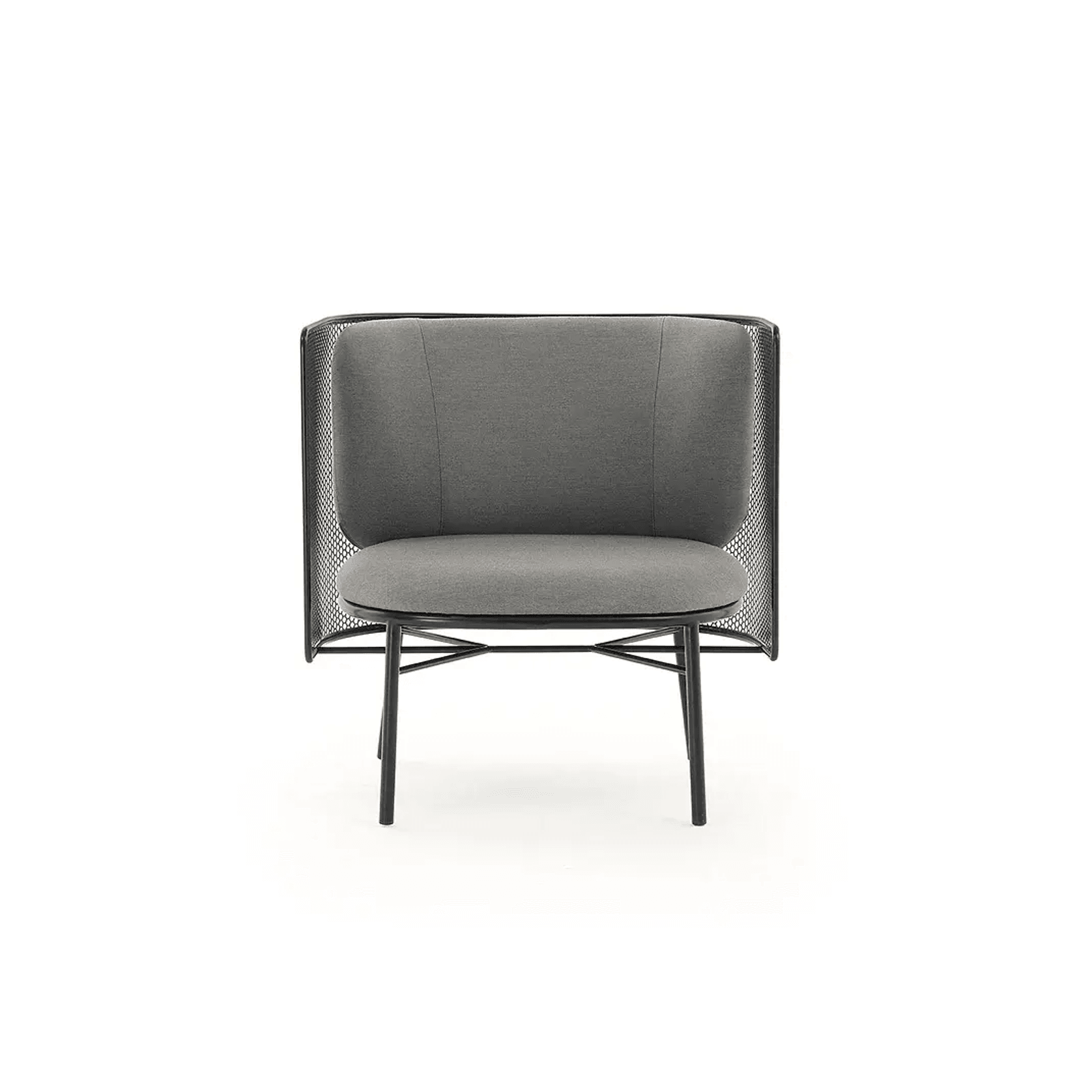 Botanical 13 gallery detail image