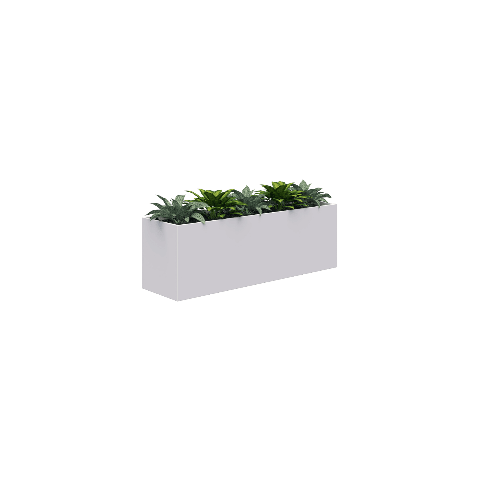 Rapid Planter gallery detail image
