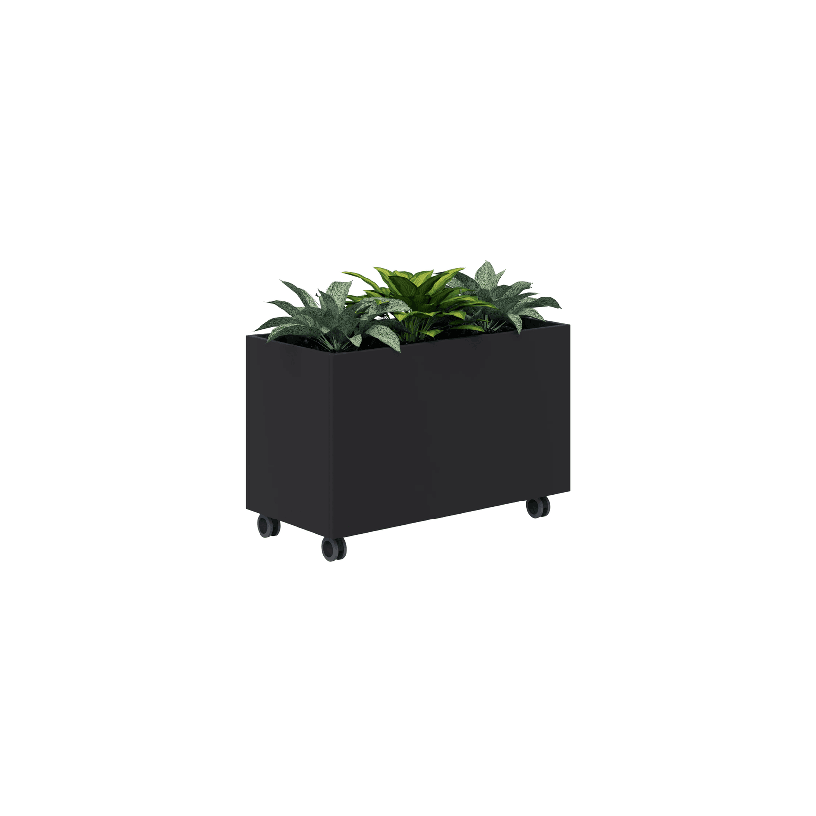 Rapid Planter gallery detail image