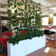 Plant Installations On Wires | Hire Plants gallery detail image